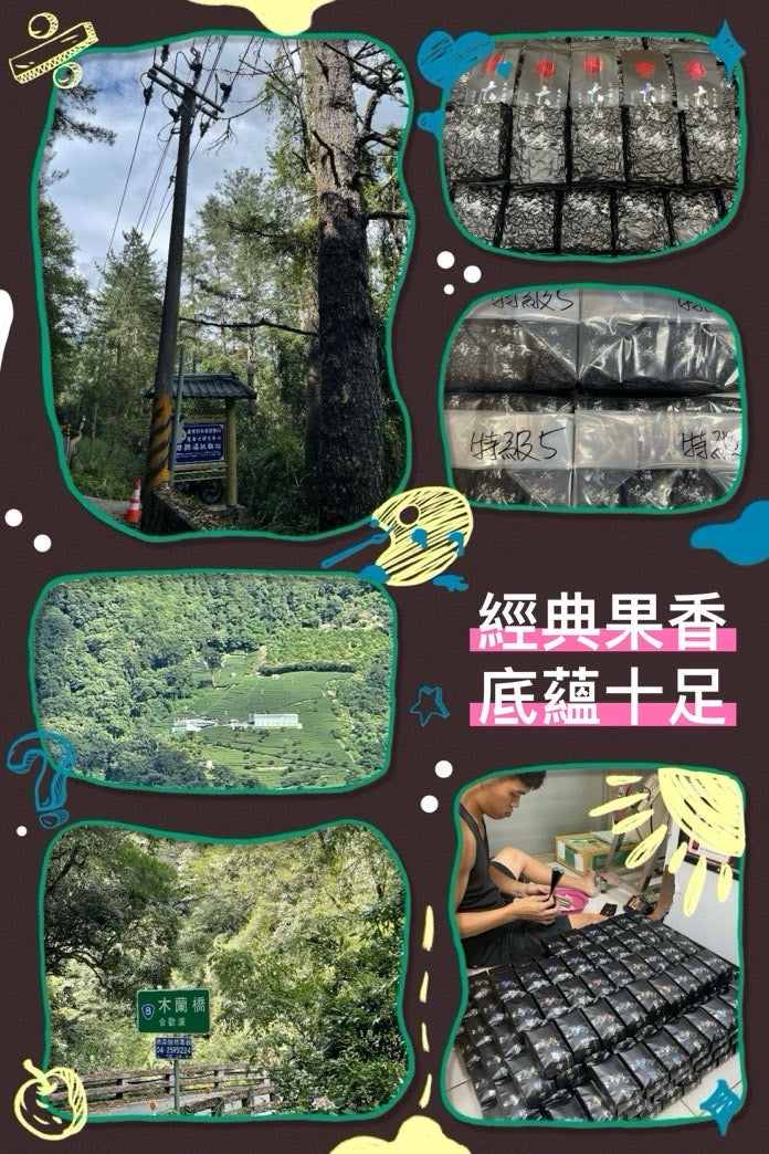 精選大禹嶺(2025年冬茶)