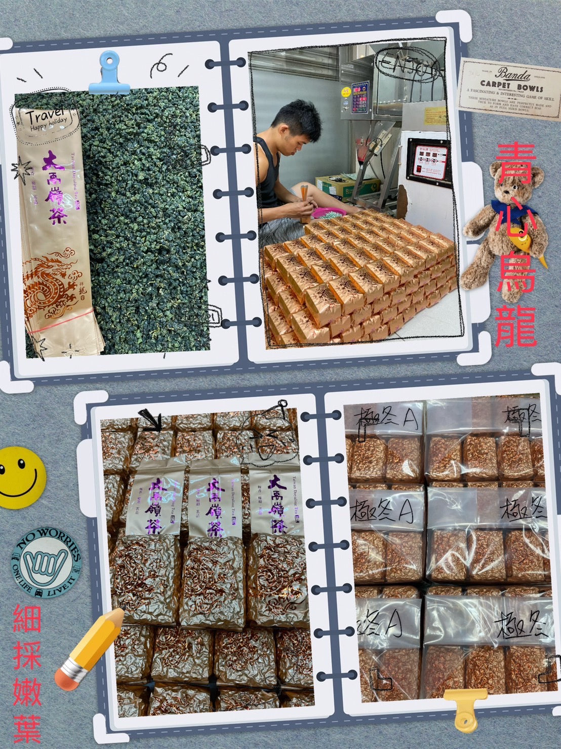 大禹嶺(2025年冬茶)