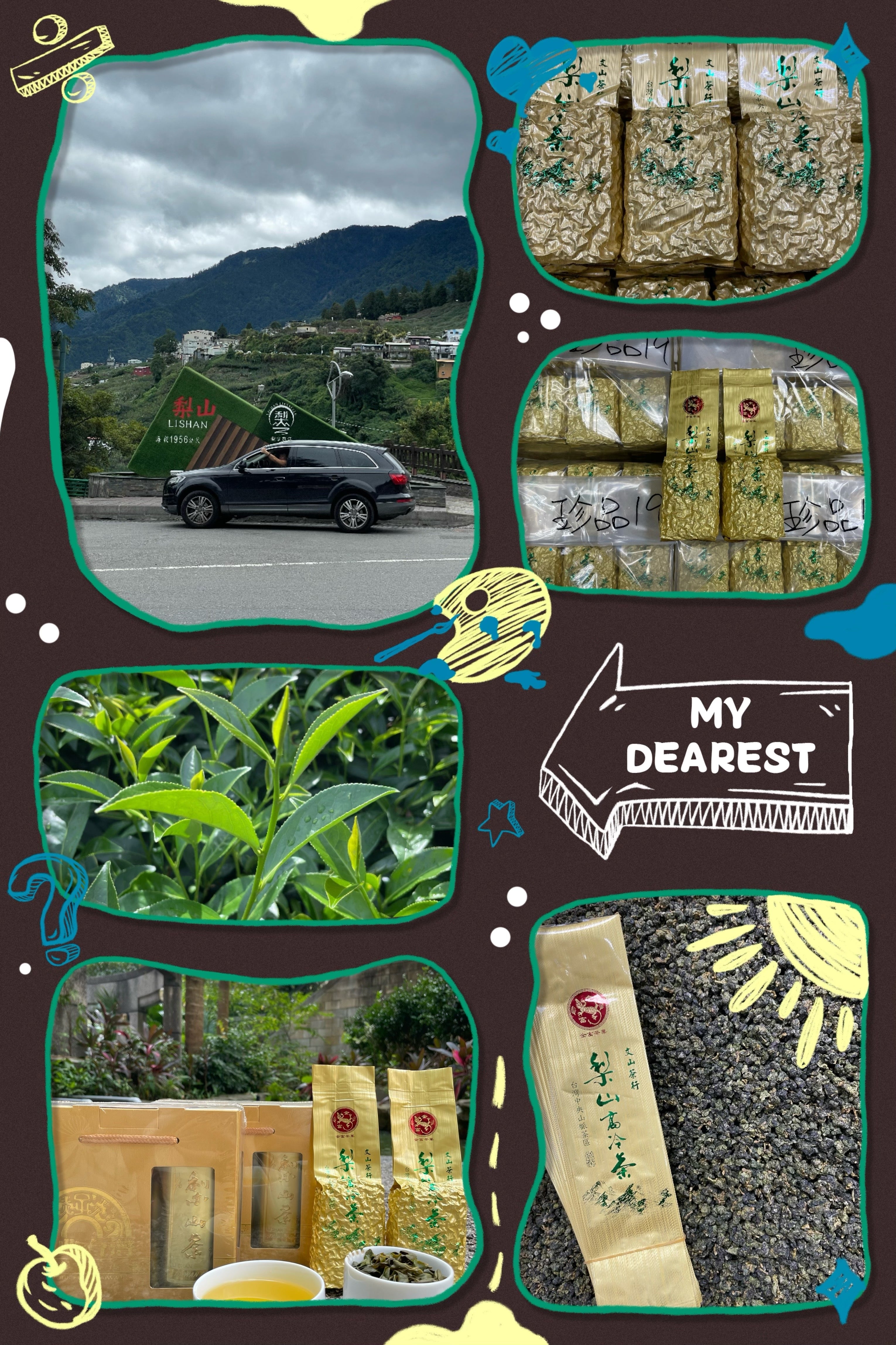 梨山高冷茶(2025年冬茶) – 金富茶葉線上商城